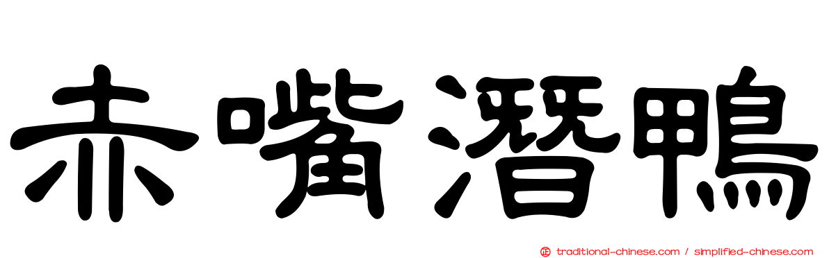 赤嘴潛鴨