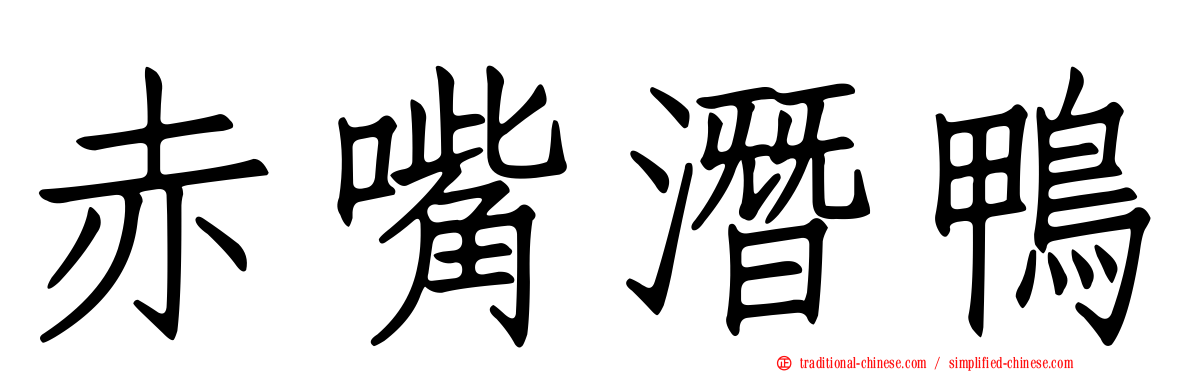 赤嘴潛鴨