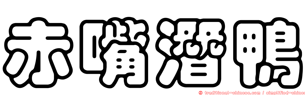 赤嘴潛鴨