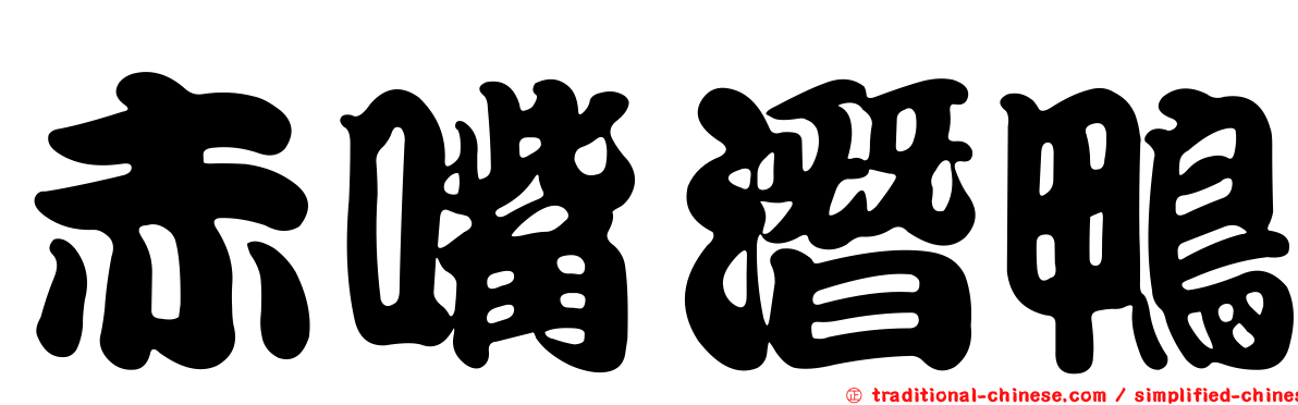 赤嘴潛鴨