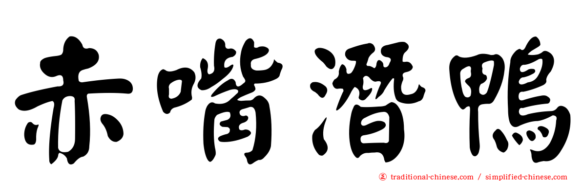 赤嘴潛鴨