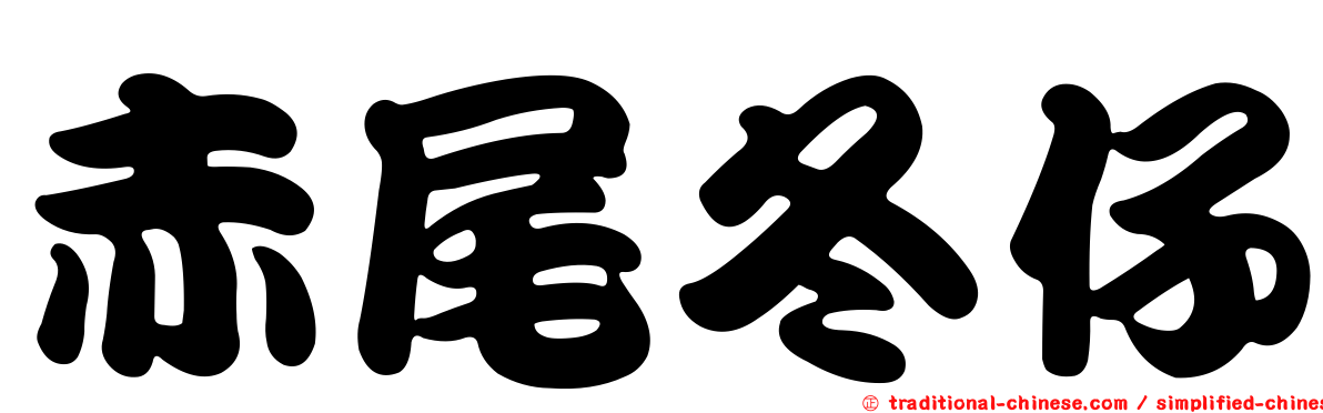 赤尾冬仔