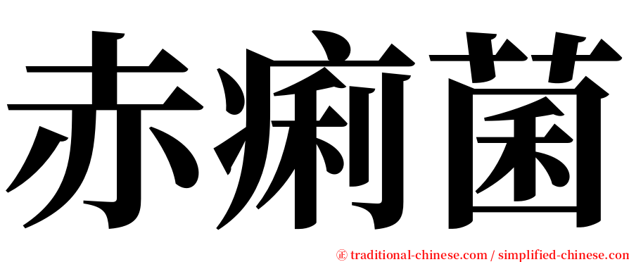 赤痢菌 serif font