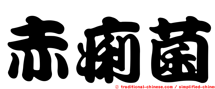 赤痢菌