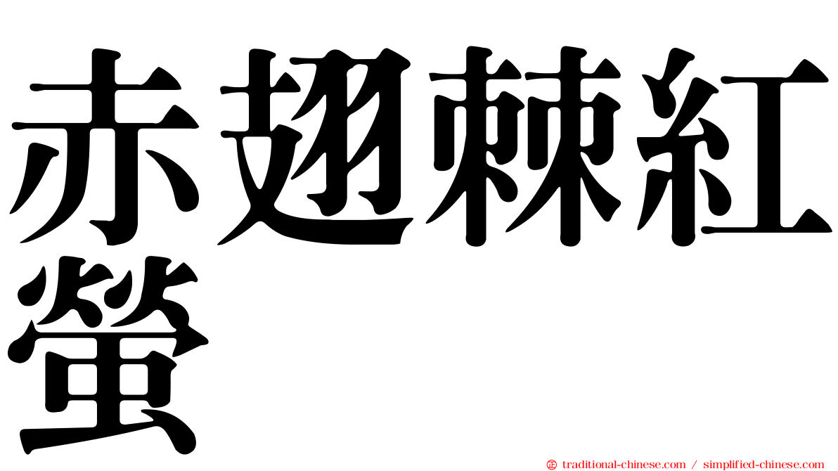 赤翅棘紅螢
