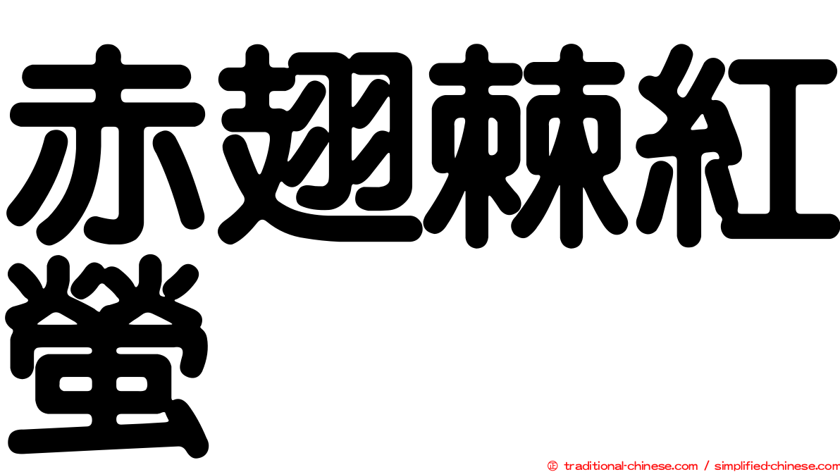 赤翅棘紅螢