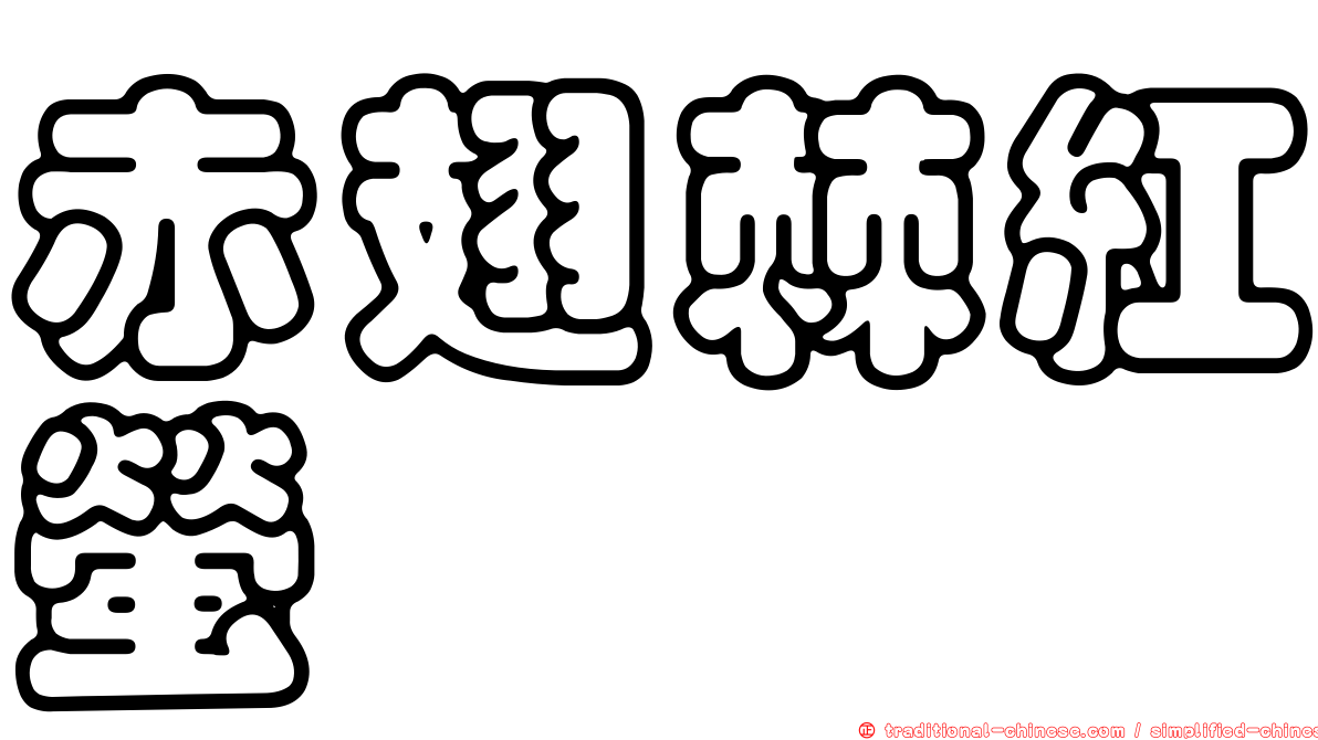赤翅棘紅螢