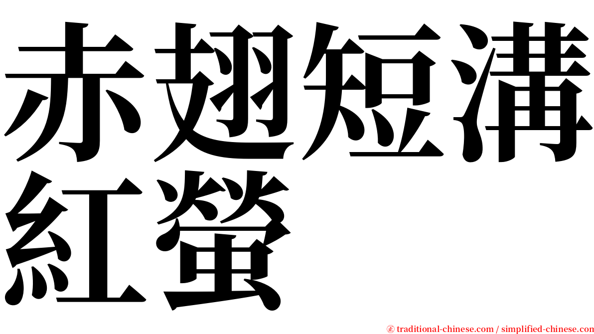 赤翅短溝紅螢 serif font