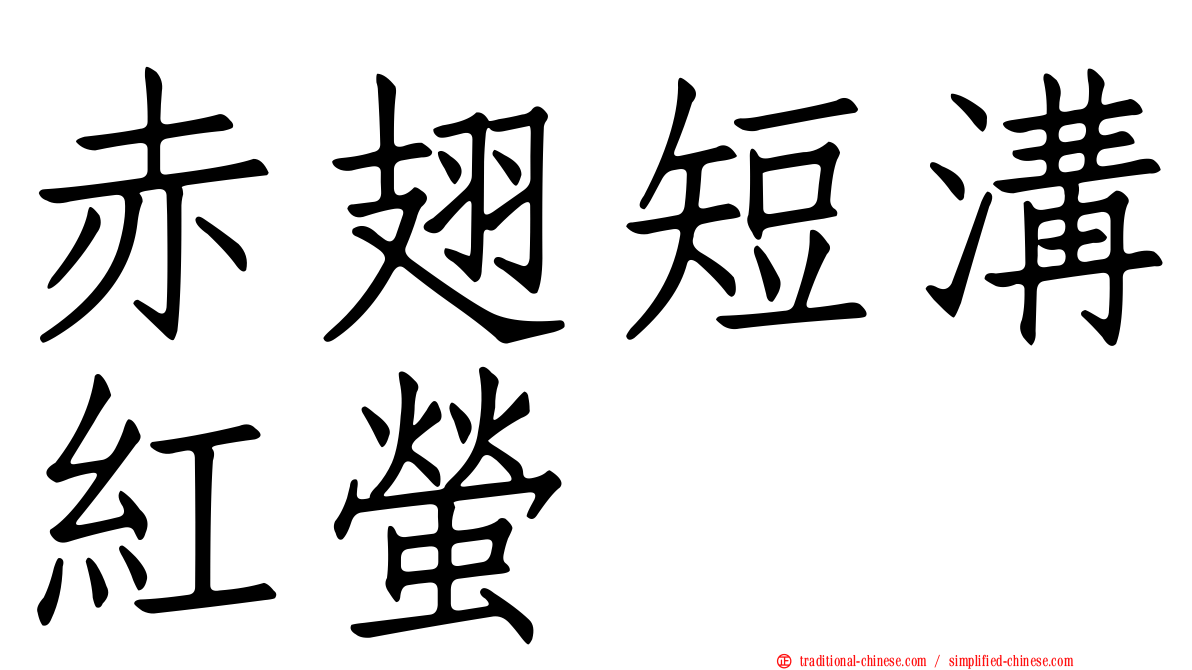 赤翅短溝紅螢