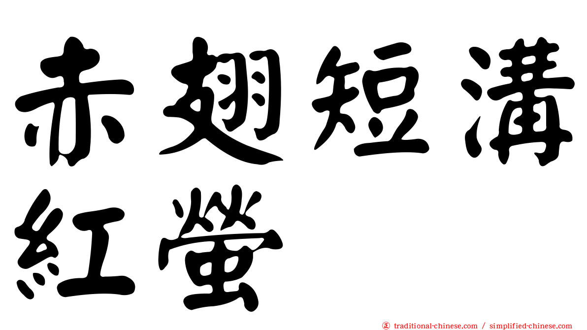 赤翅短溝紅螢