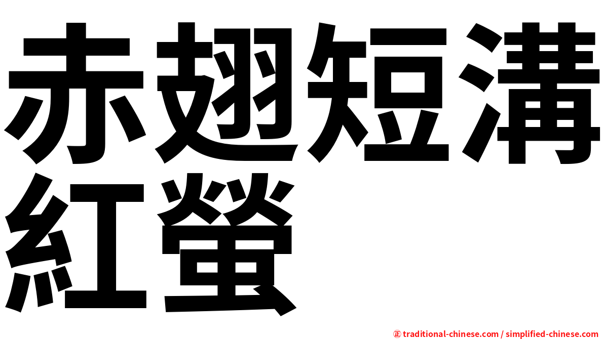 赤翅短溝紅螢