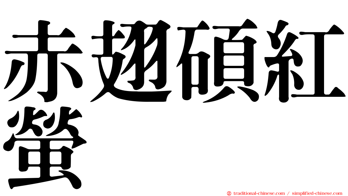 赤翅碩紅螢