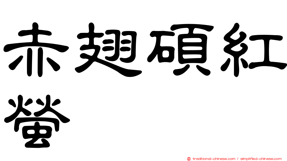 赤翅碩紅螢