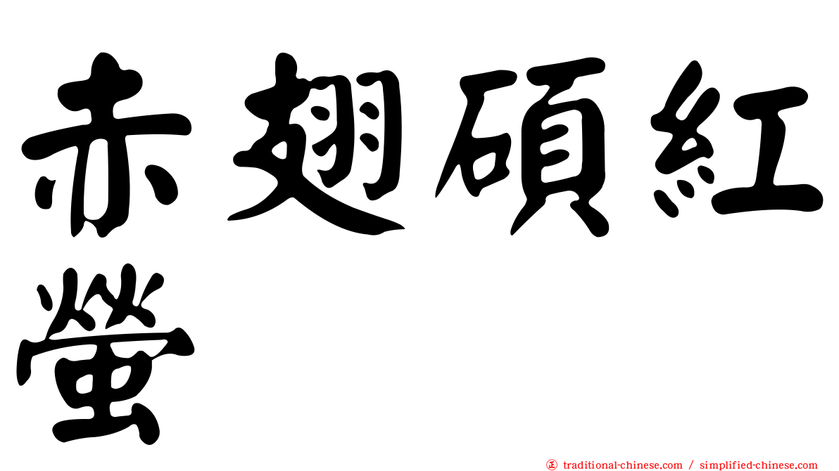 赤翅碩紅螢