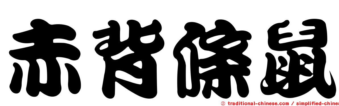 赤背條鼠