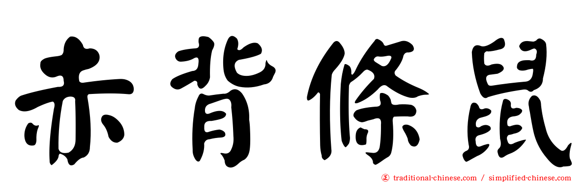赤背條鼠
