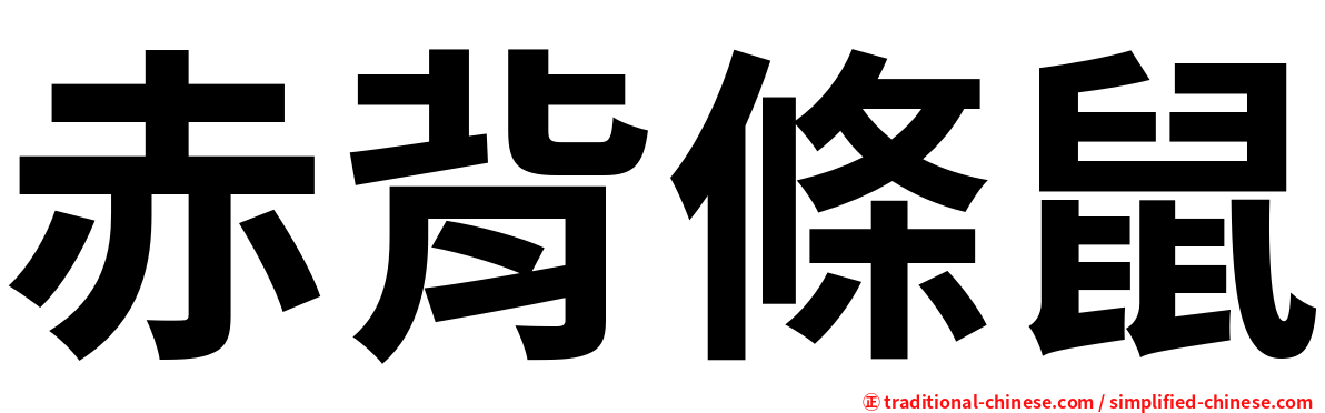 赤背條鼠