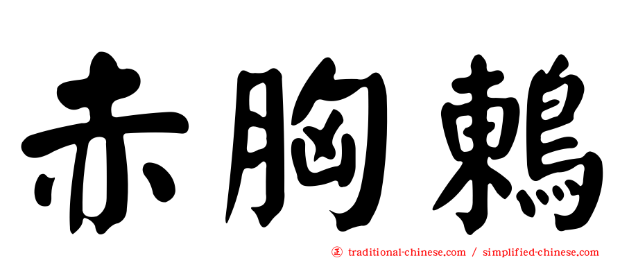 赤胸鶇