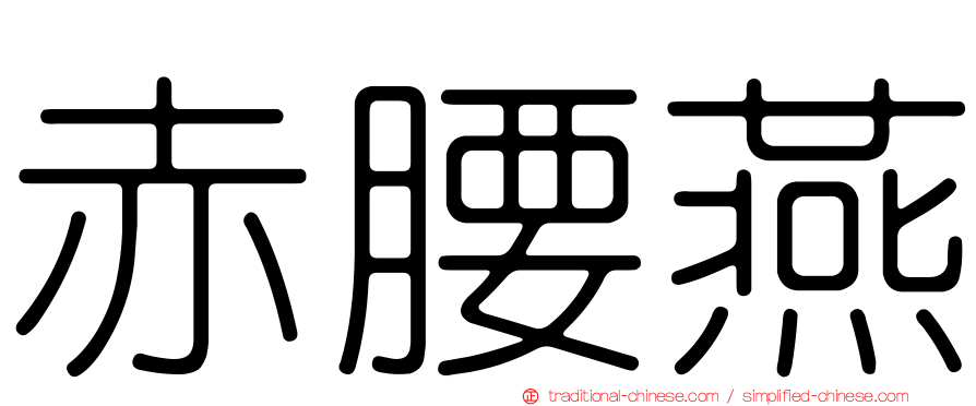 赤腰燕