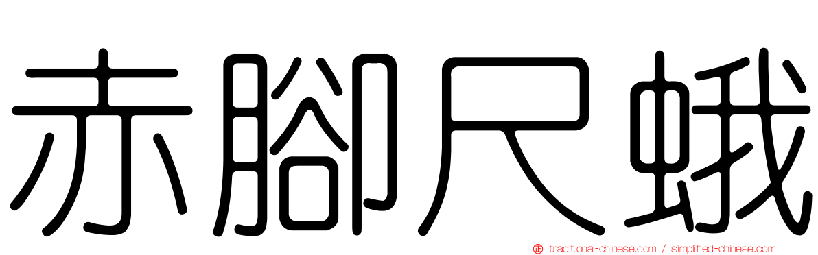 赤腳尺蛾