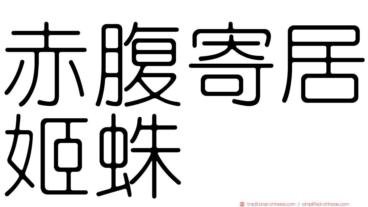 赤腹寄居姬蛛