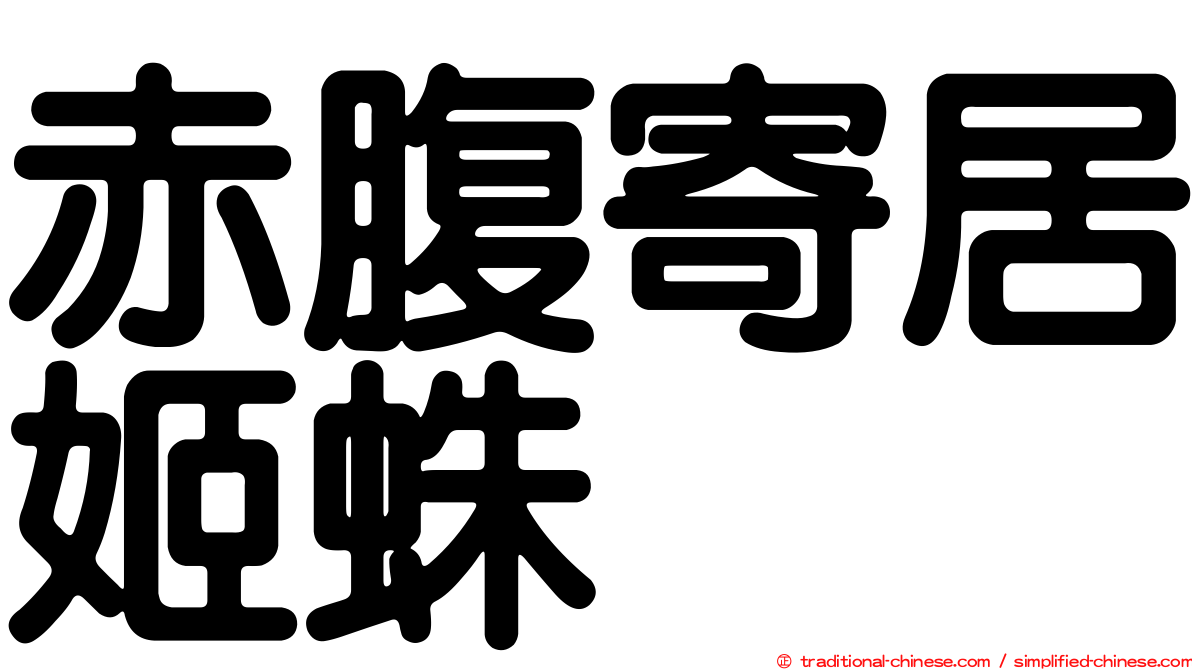 赤腹寄居姬蛛