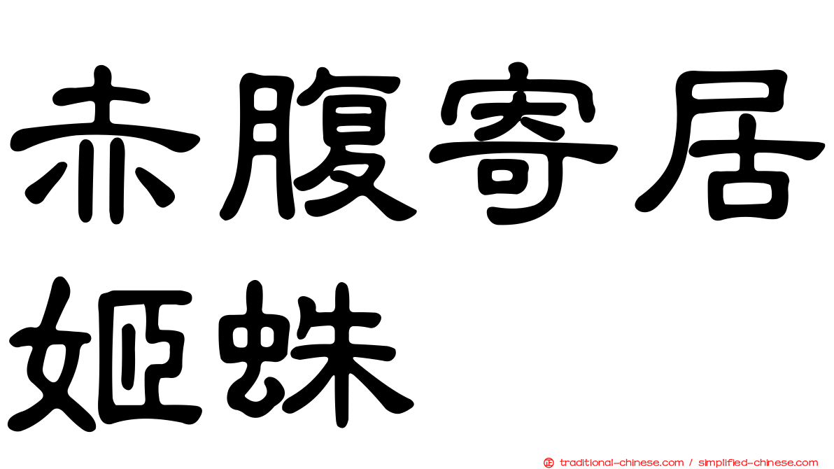 赤腹寄居姬蛛