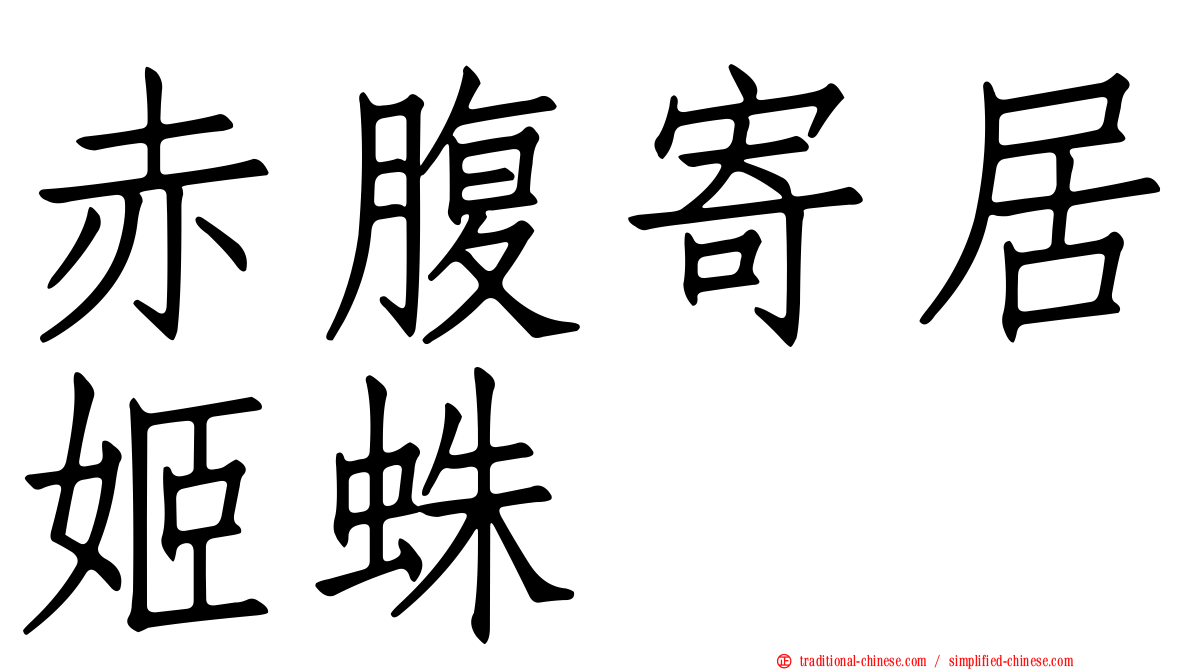 赤腹寄居姬蛛