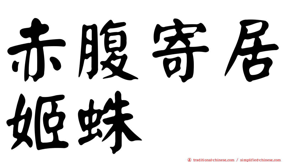 赤腹寄居姬蛛