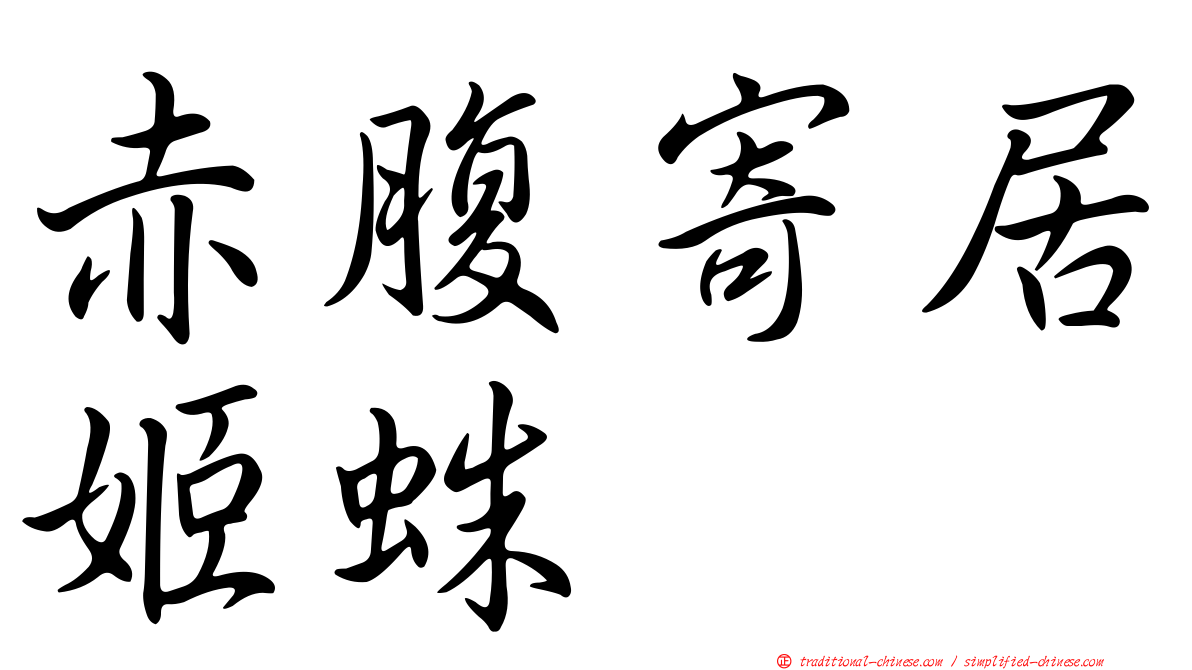赤腹寄居姬蛛