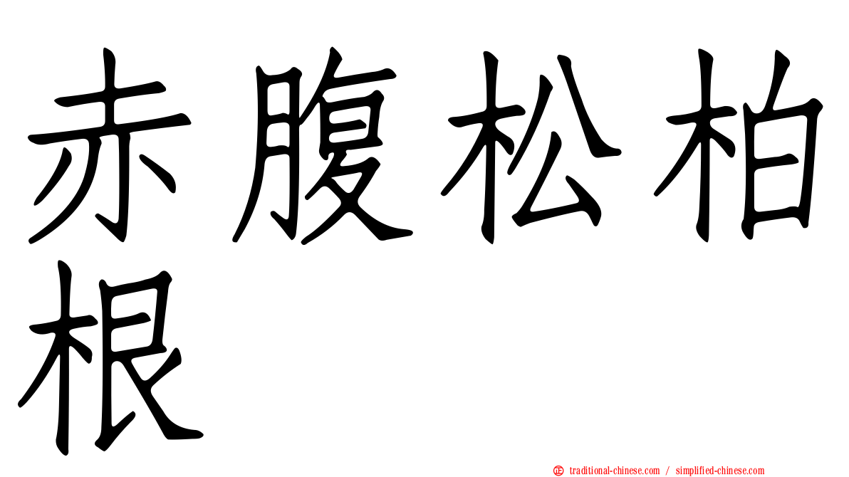 赤腹松柏根