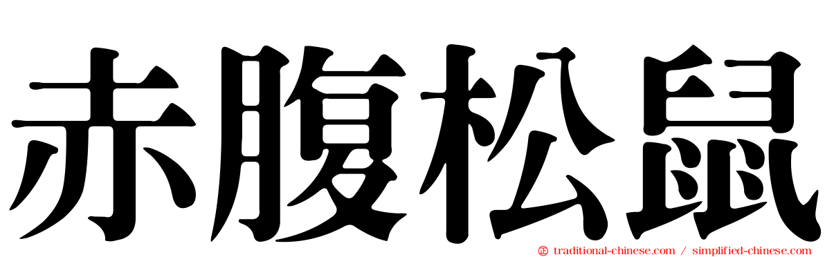 赤腹松鼠