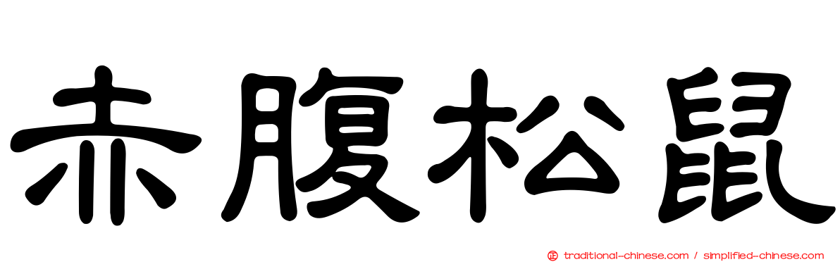 赤腹松鼠