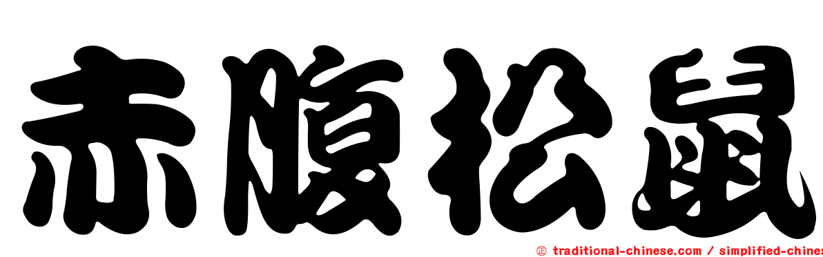 赤腹松鼠