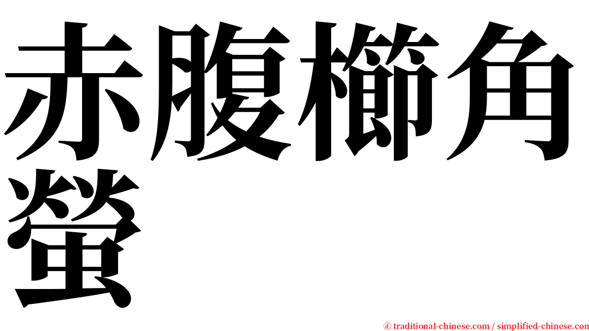 赤腹櫛角螢 serif font