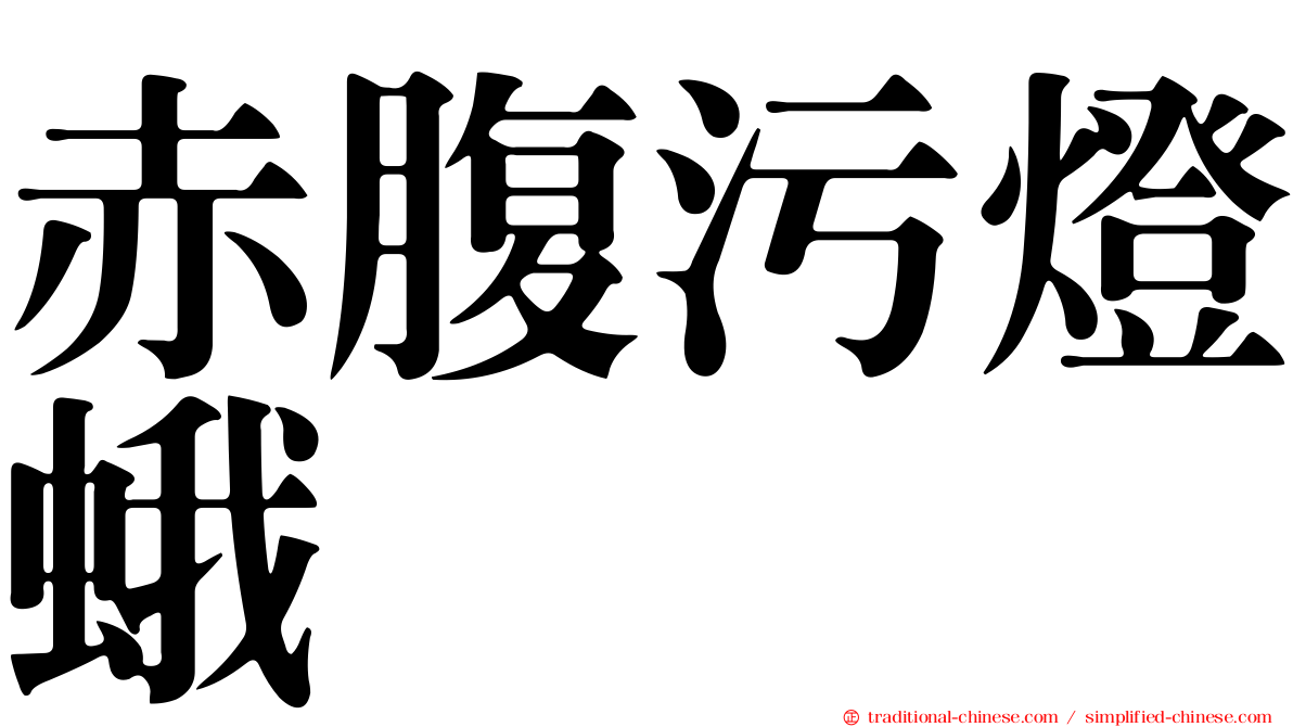 赤腹污燈蛾