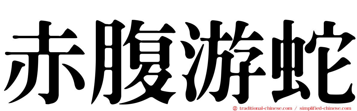 赤腹游蛇