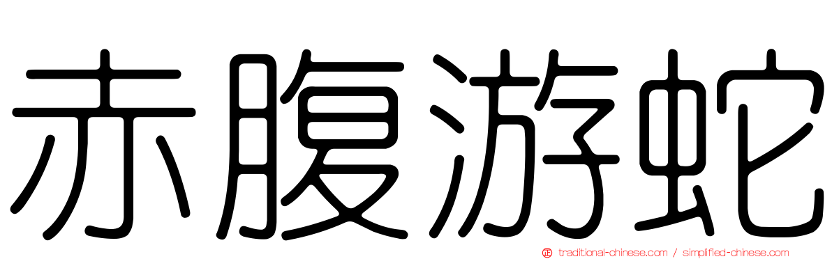 赤腹游蛇