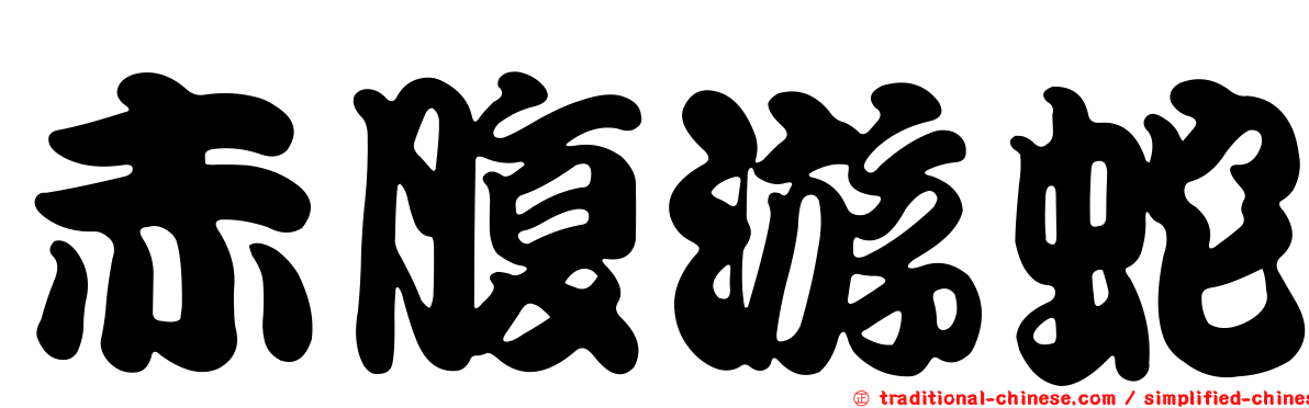 赤腹游蛇