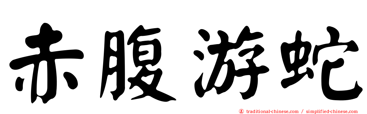 赤腹游蛇