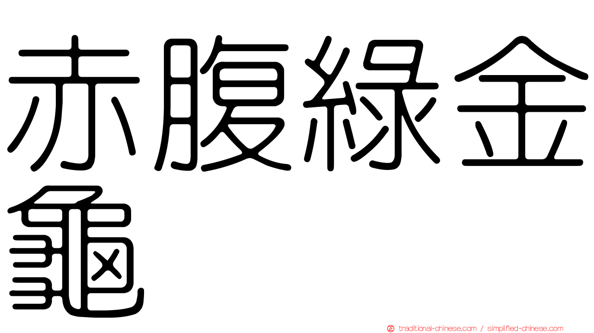 赤腹綠金龜