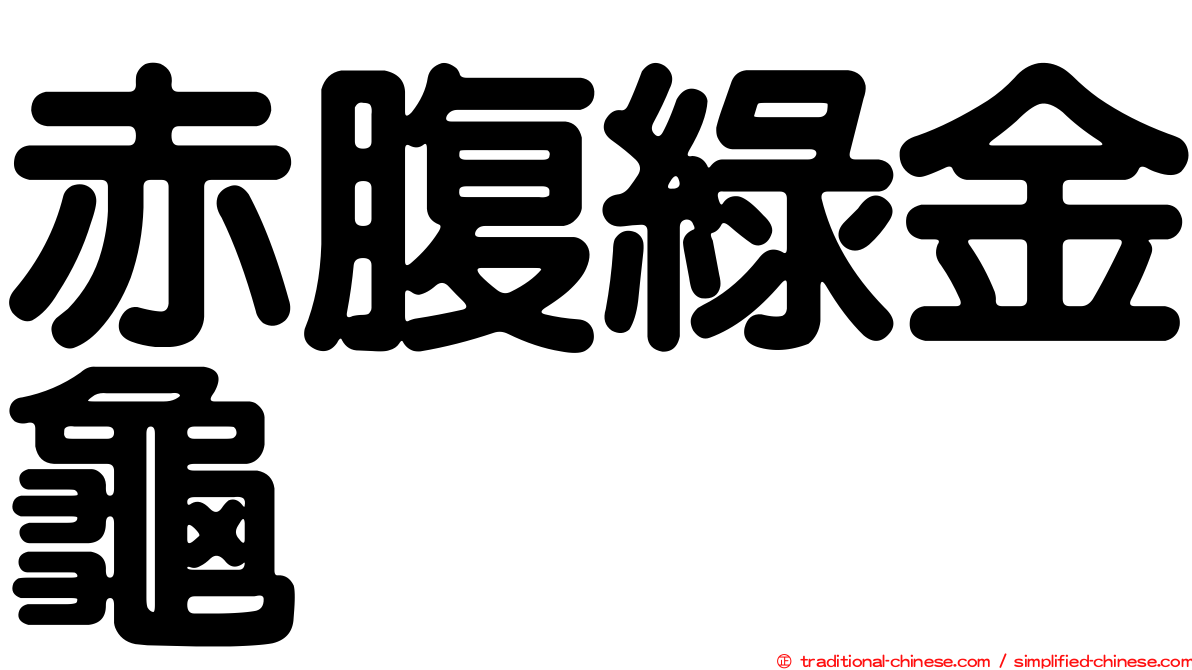 赤腹綠金龜