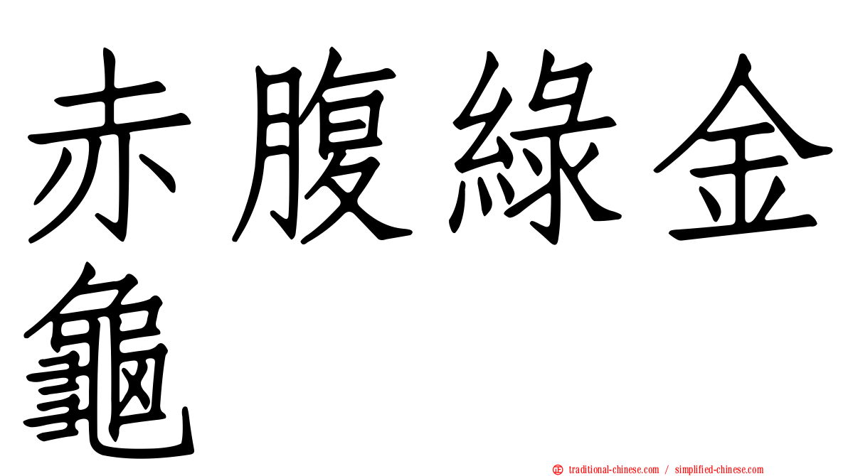 赤腹綠金龜