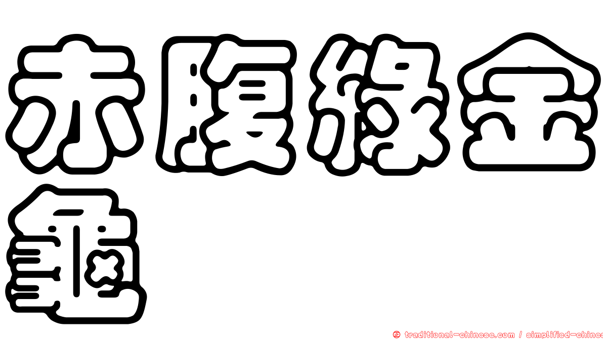 赤腹綠金龜