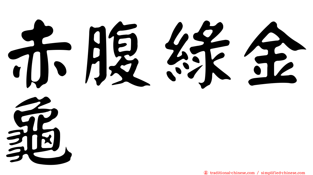 赤腹綠金龜