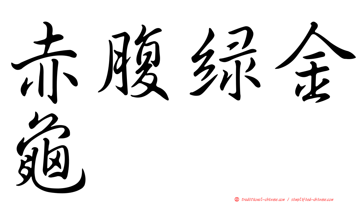 赤腹綠金龜
