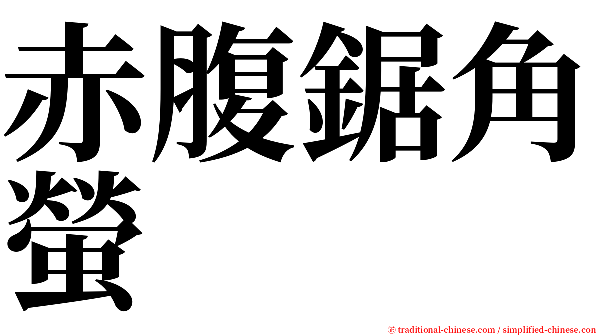 赤腹鋸角螢 serif font