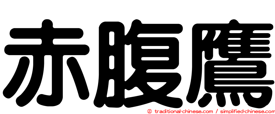 赤腹鷹