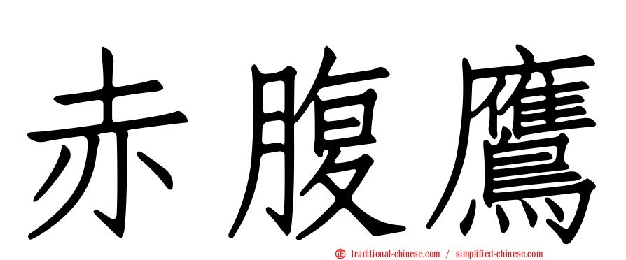 赤腹鷹