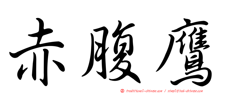 赤腹鷹